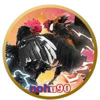 nohu90